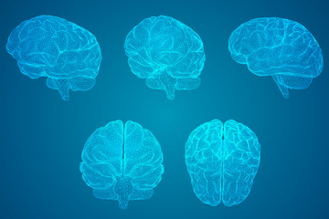 网络安全活动简报