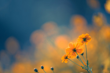 两岁半的宝宝上幼儿园会不会太早了？