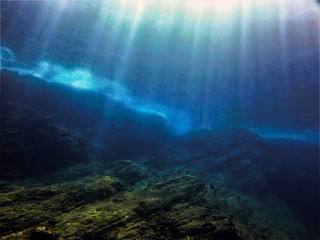 谁有西餐厅的工作经验-