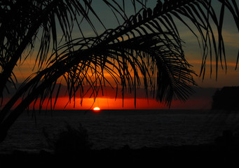 原木门定制哪个品牌好