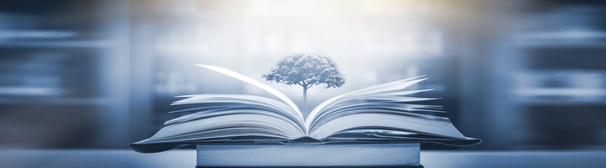 谁有西餐厅的工作经验-