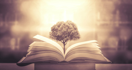 两岁半的宝宝上幼儿园会不会太早了？