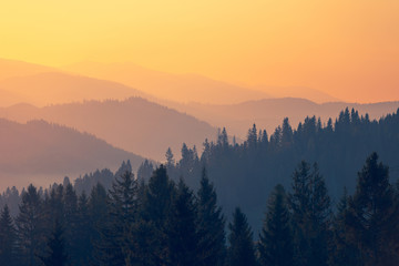 网络安全活动简报