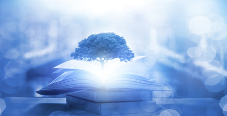 试论产品包装在营销过程中的重要性