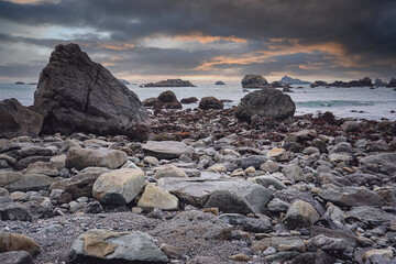 不喜欢家里的地板颜色？