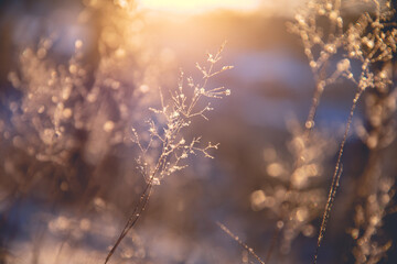 五险一金中的一金有什么作用