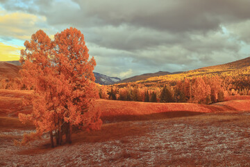 虚拟现实硬件的显示设备