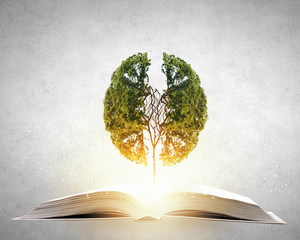 原木门定制哪个品牌好