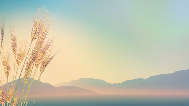 谁有西餐厅的工作经验-