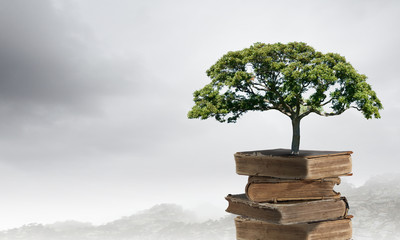 不喜欢家里的地板颜色？