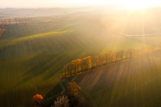虚拟现实硬件的显示设备